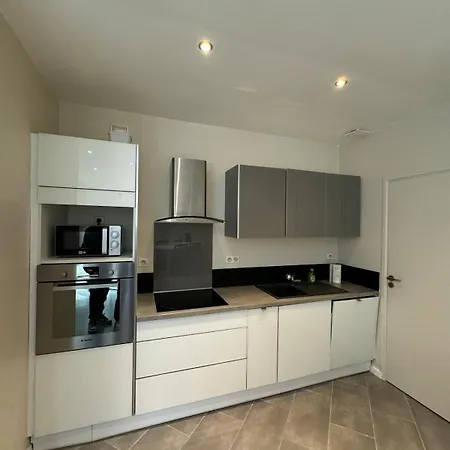 Hyper-centre De 公寓 *